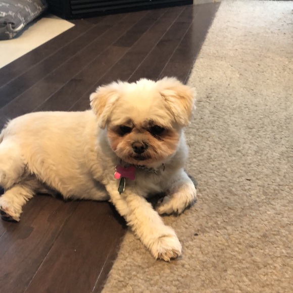 UGG- Over the Knee Twisted Cable Ugg Boots (Rum) Size 7 - Picture 7 of 7